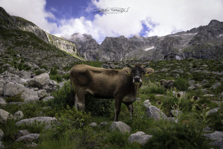 2018 - Orobie, Rifugio Prudenzini