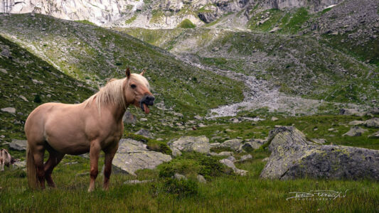 2018 - Orobie, Rifugio Prudenzini