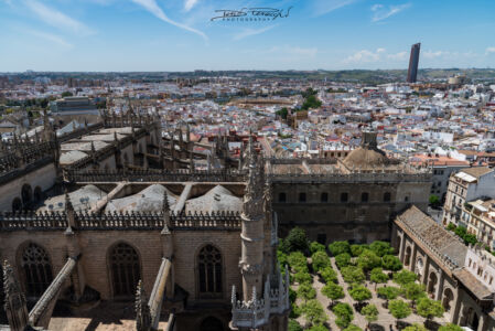 Panoramica Della Cattedrale