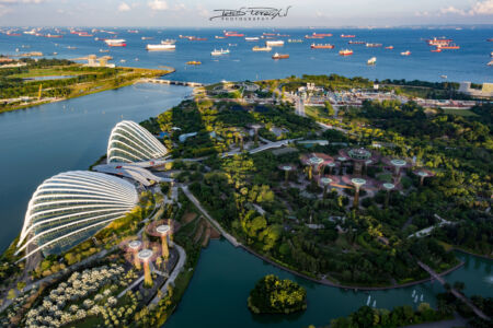 Gardens By The Bay