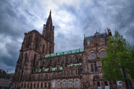 Notre-Dame Di Strasburgo